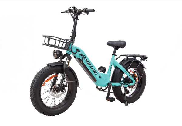 BAOLUJIE A1 Electric Bicycle