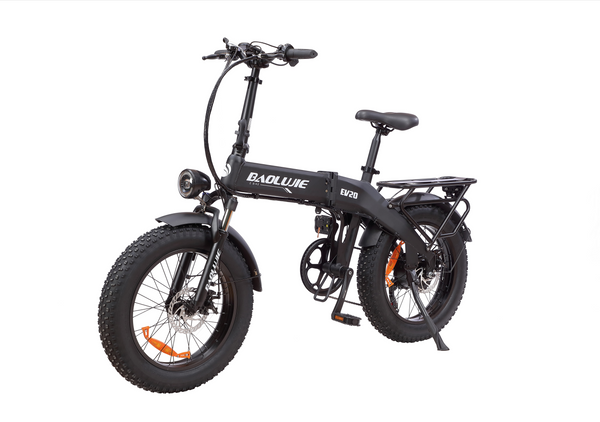 BAOLUJIE B1 Folding Electric Bicycle